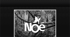 Desktop Screenshot of noe.com